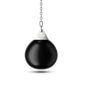 Home Gym 21 Inch Water Punching Bag with Adjustable Metal Chain (Type: Exercise & Fitness, color: Black)